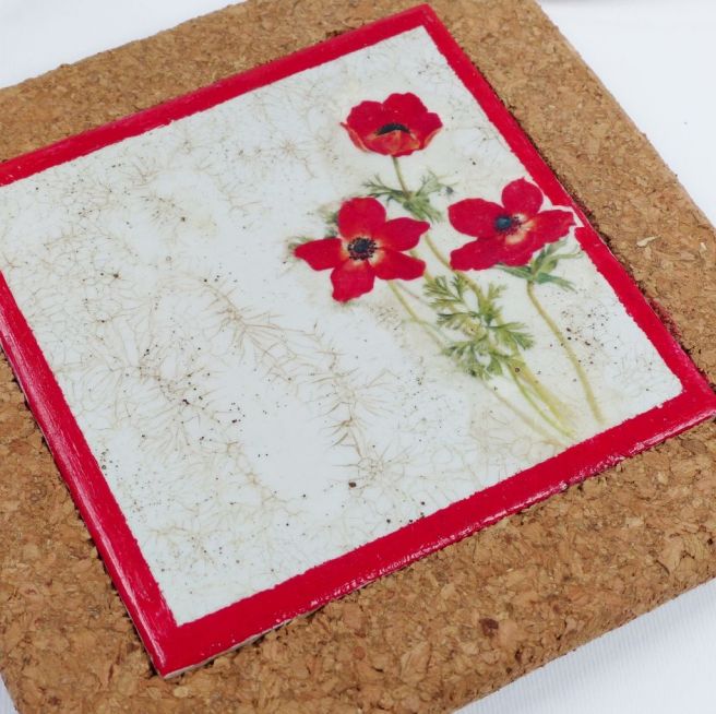 P1000109 (1024x1022)