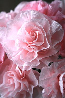 8378fdafa5a4e15cf91d25342299b4a0